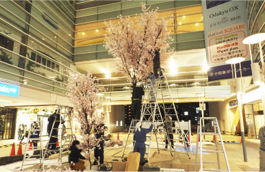 桜装飾